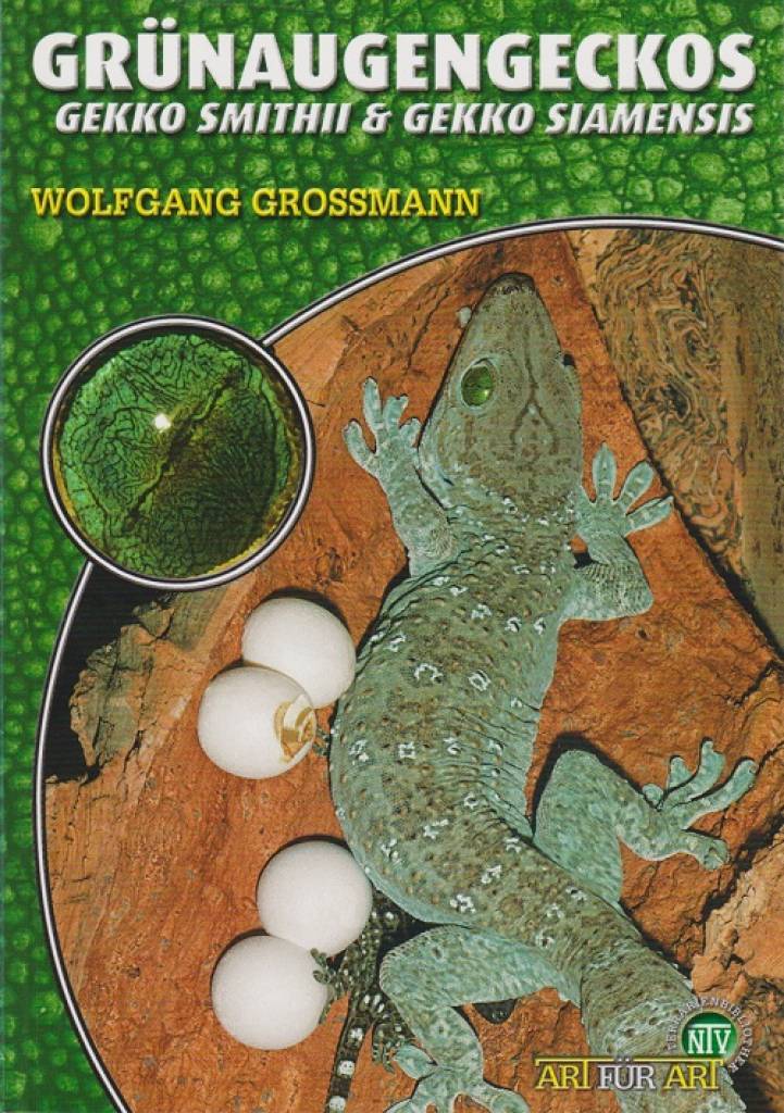 Grünaugengeckos